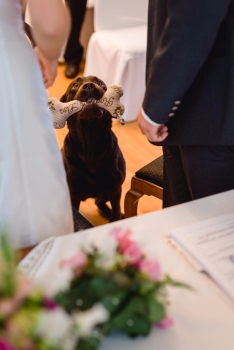 ♥ Ringkissen Knochen Punkte Wunschname Stickerei Hochzeit Hochzeitsknochen Just Married I Do